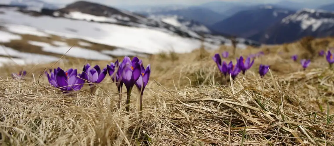 Cómo desarrollar resiliencia
