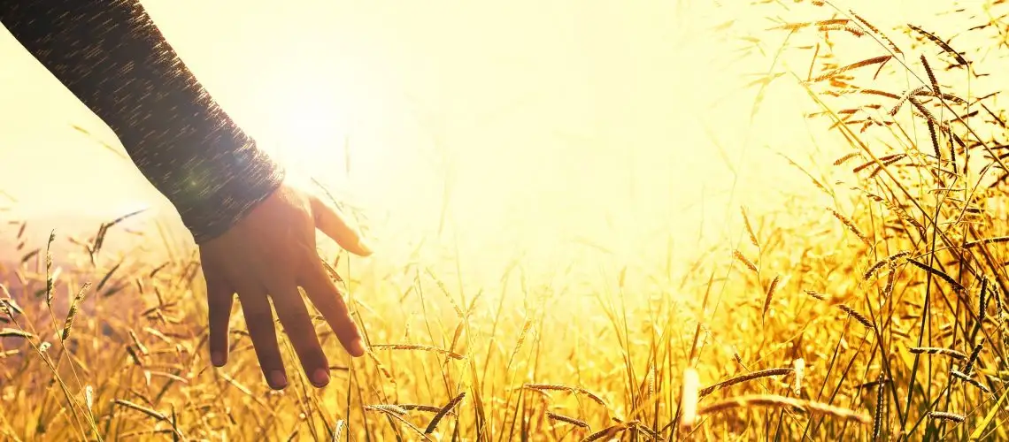 Autoaceptación, estrategias y practicas