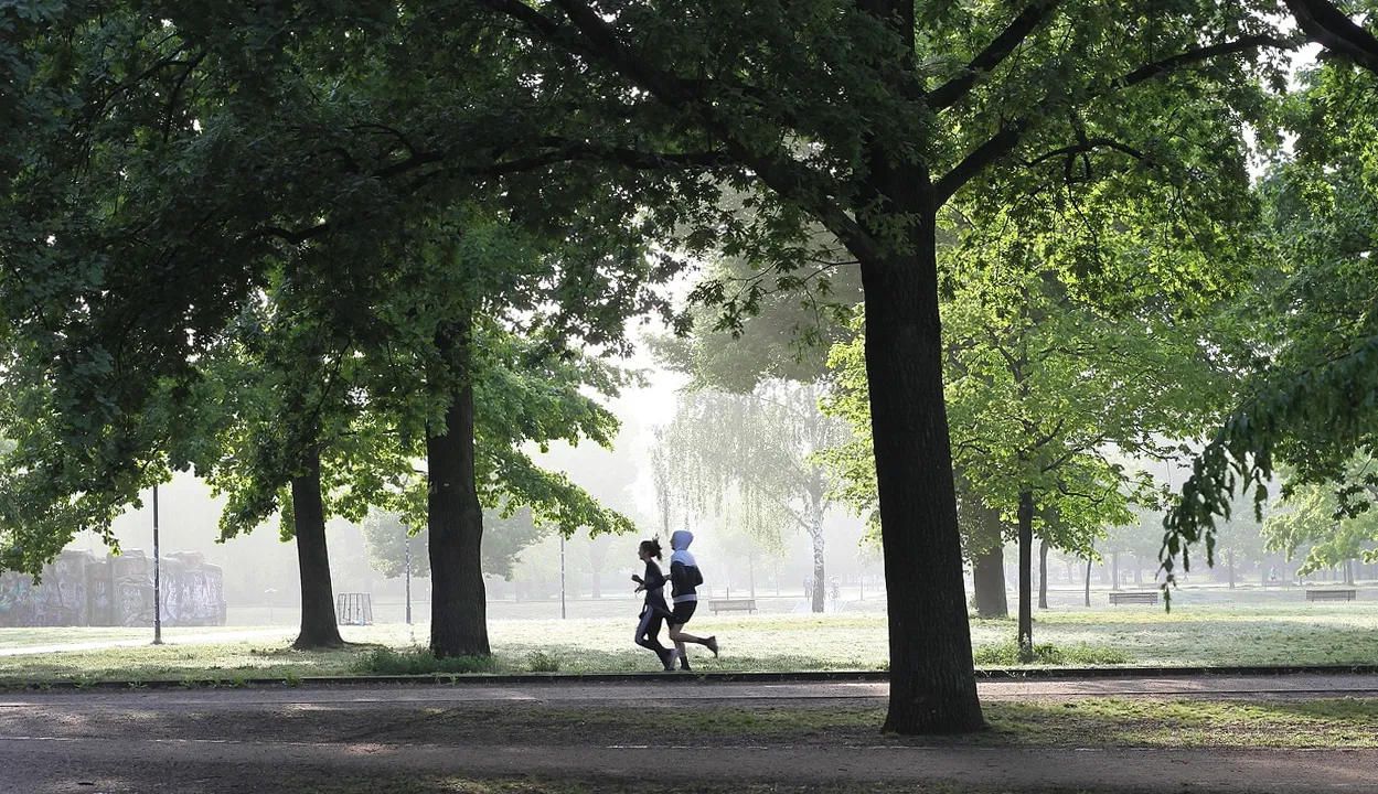 Beneficios del ejercicio físico en la salud mental